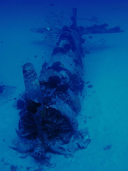 Corsair - Manini Dive Company Hawaii