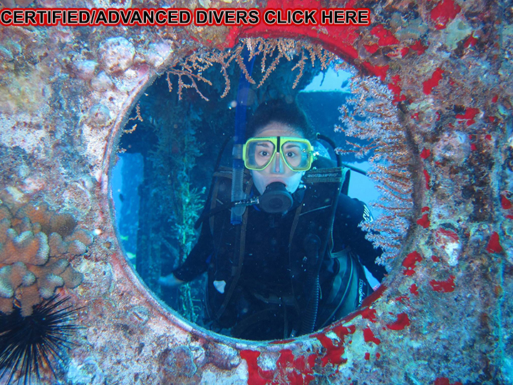 Advanced / Certified Scuba Divers